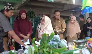 Sidak-Pasar