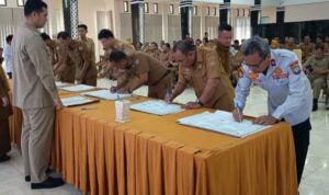 Oplus_0