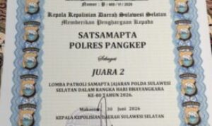 Oplus_131072